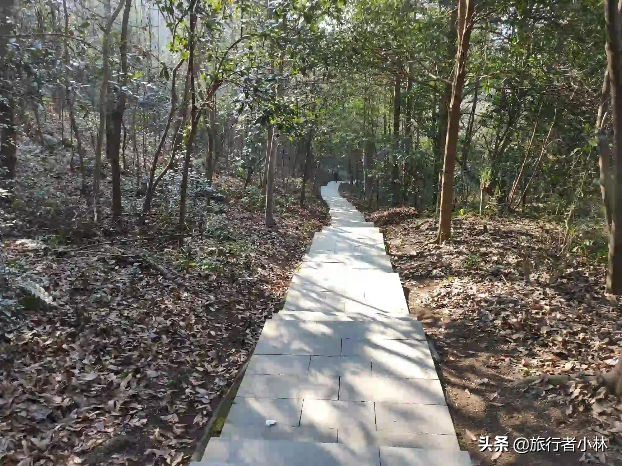 外卖小哥救轻生情侣,上海外卖小哥接“奇怪”订单后救下自杀女孩,女友:比你挣10万块还开心, 你怎么看? 外卖小哥救轻生情侣,上海外卖小哥接“奇怪”订单后救下自杀女孩,女友:比你挣10万块还开心, 你怎么看?