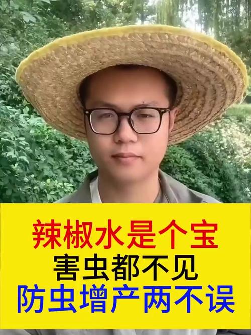 红油面皮里发现蛆,辣椒水加醋能防止青虫吗?
