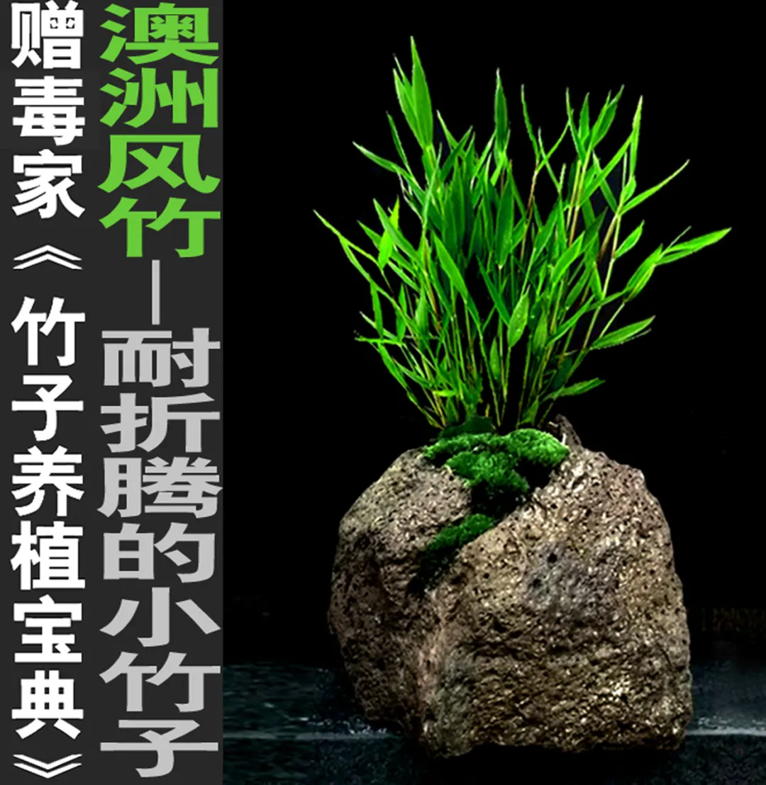 菲要与华合作管控,菲华各界联合会 菲要与华合作管控,菲华各界联合会