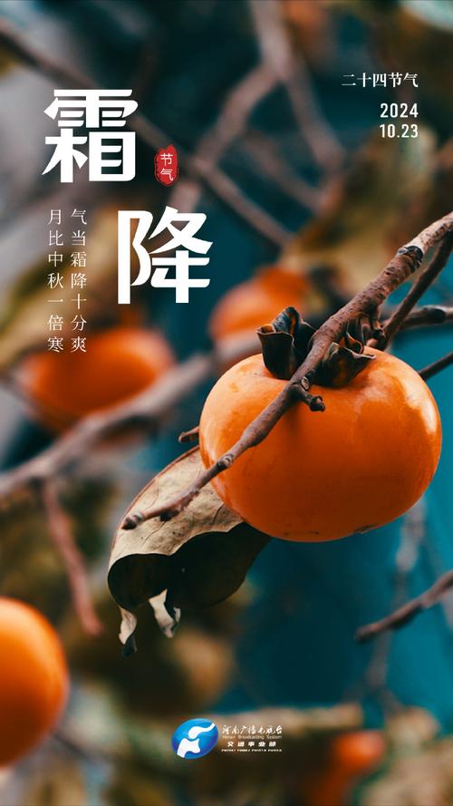 霜降是秋天最后一站,霜降秋天最后一站与秋天道别