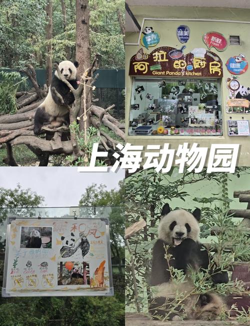 动物园花5万招司机,师生150人,参观动物园。怎样租车最合算?最少需要租金多少元?(每辆车有一个座位是司机的?