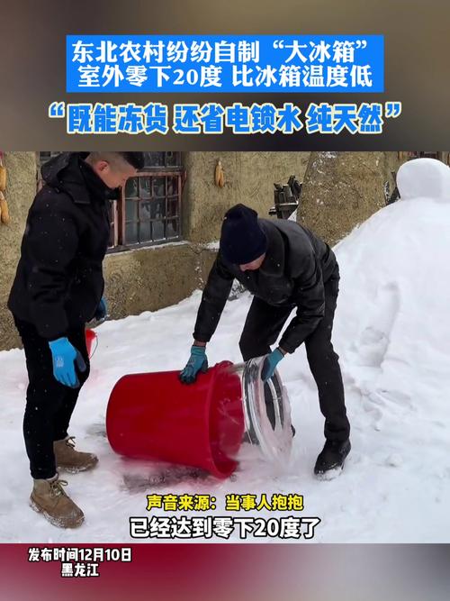 东北冻货争相上市,东北天然大冰箱冻货放里面拿不出来怎么办?