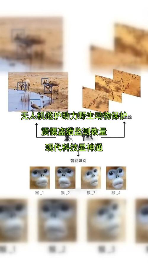 动物遭无人机射杀,无人机抓动物