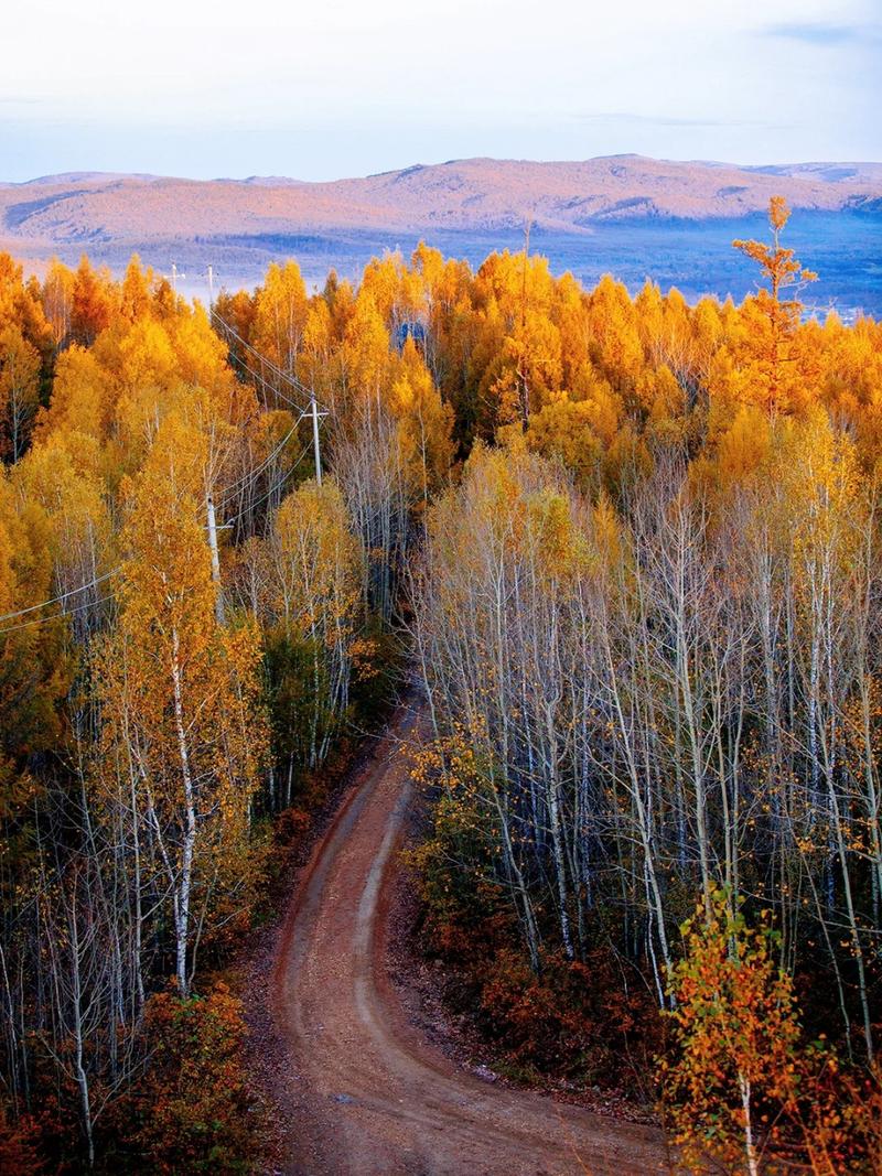 北方秋天为何这么短,北方秋天短还是春天短