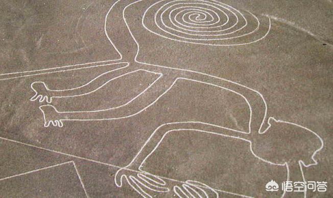 动物遭无人机射杀,无人机用处大吗？