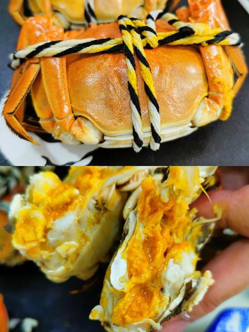 蟹藏车内2年才取出,大闸蟹放到车里保持多久时间?