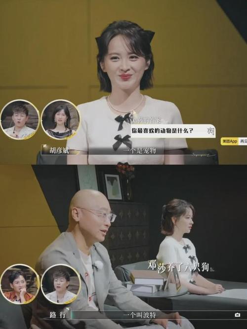 路行退出再见爱人5,再见 爱人 只能是会员观看吗?