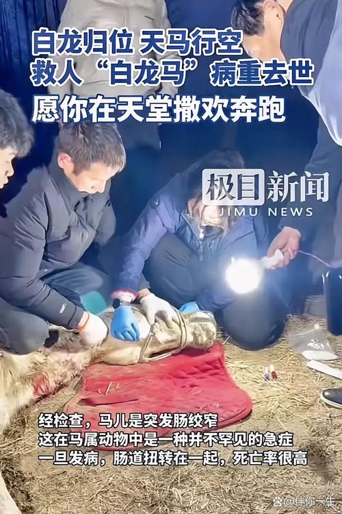 男子徒手爬4楼救人,男子徒手爬4楼救人视频