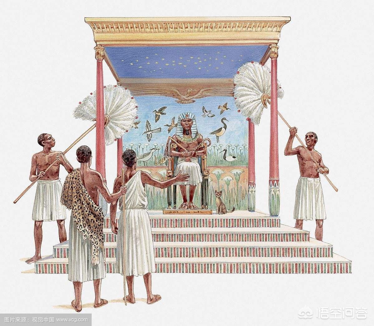 埃及多车相撞致7死,神秘埃及的第七天和第12天会怎么过？