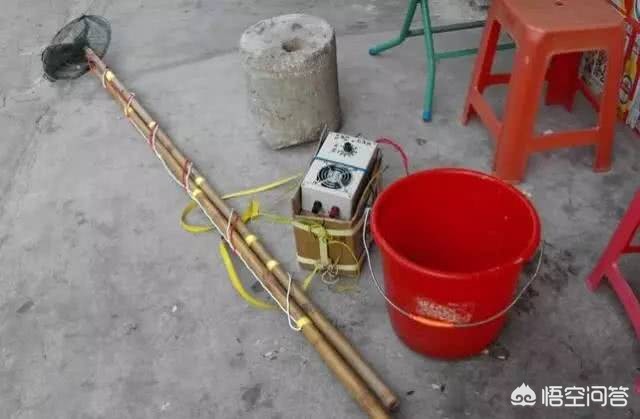 下河电鱼致朋友身亡,中山板芙男子下河电鱼,反把自己电倒, 你怎么看? 下河电鱼致朋友身亡,中山板芙男子下河电鱼,反把自己电倒, 你怎么看?