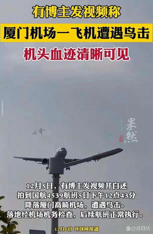 客机空中与鸟群相撞,为什么鸟群会袭击飞机?