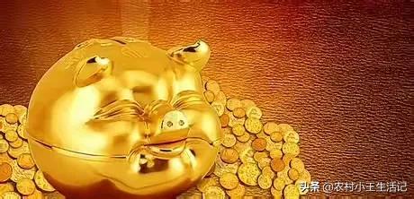 多地涨工资落地,2023公益岗涨工资最新通知？