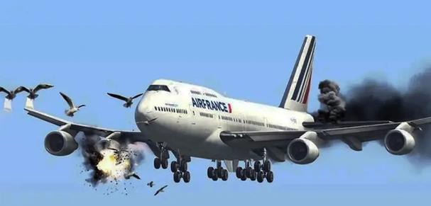 客机空中与鸟群相撞,