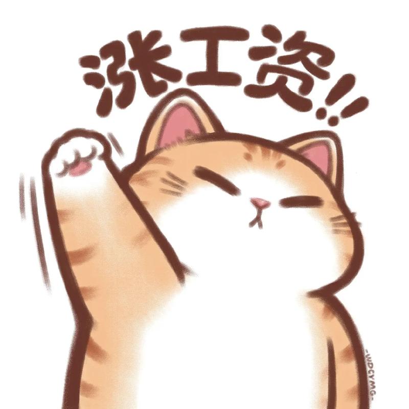 多地涨工资落地,全国多地宣布涨工资了,这事你怎么看?