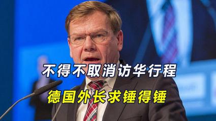 德外长推迟访华行程,外交部驻德国大使