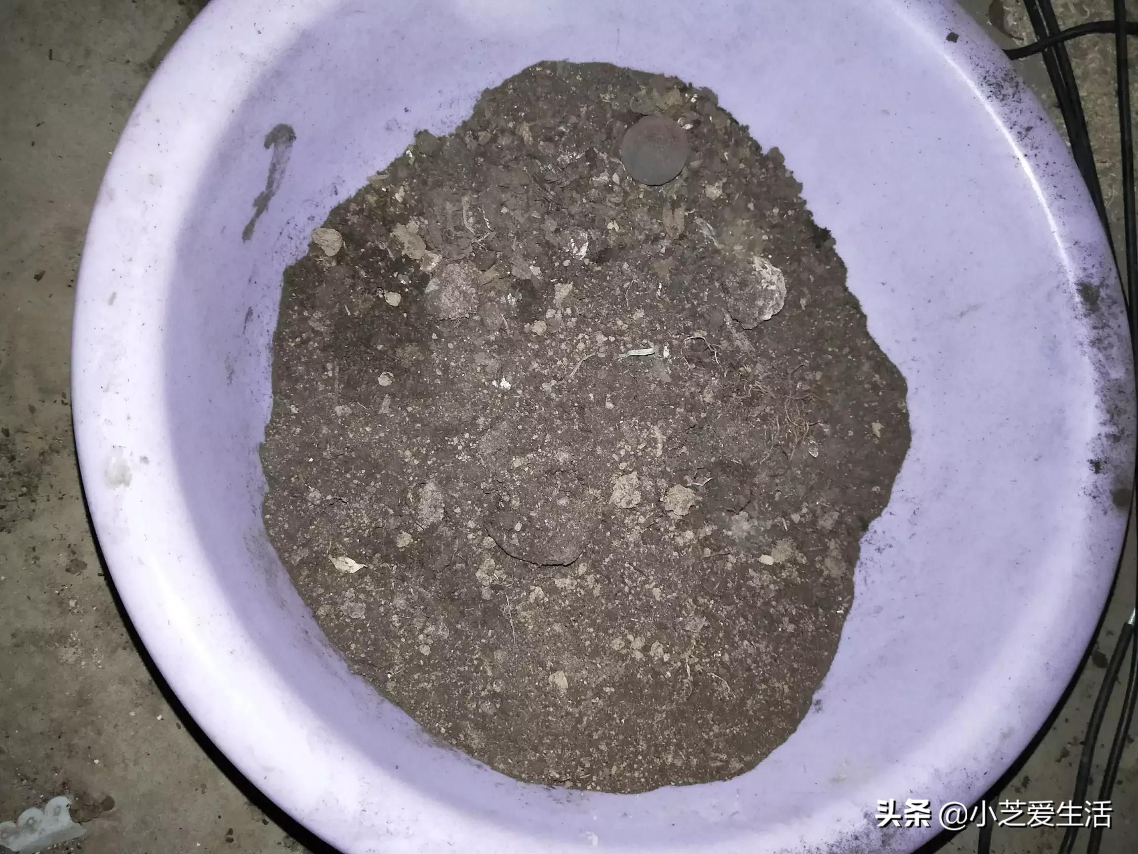 毒营养土售超200万件,营养土有毒不