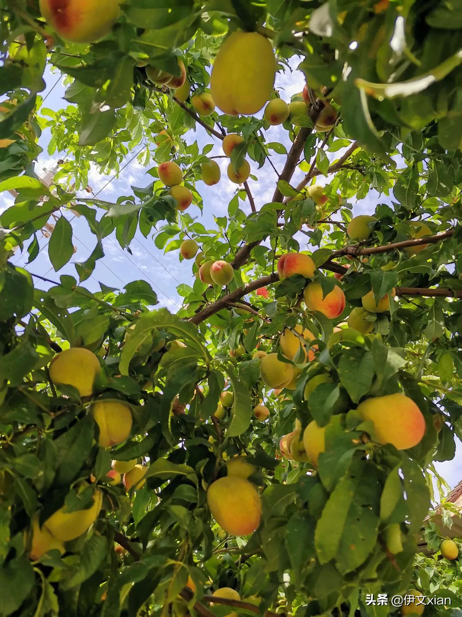 最有钱一代退休老人,最有钱一代退休老人是谁 最有钱一代退休老人,最有钱一代退休老人是谁