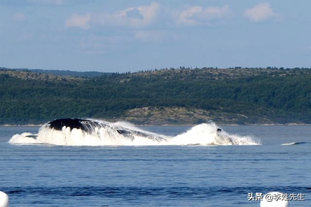 美在俄部署核潜艇,俄罗斯八艘核潜艇和两艘柴电潜艇悄然突破美国海岸，为啥没盯住？