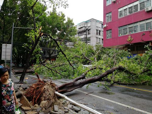 美袭东太平洋致14死,交了14年康宁终身险,现金价值999退保有多少?