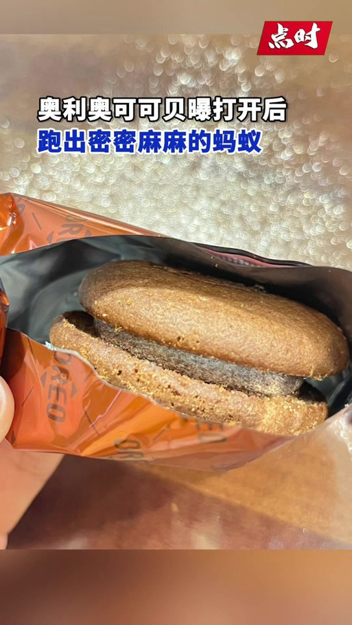 饮水机现大量蚂蚁,饮水机现大量蚂蚁怎么办