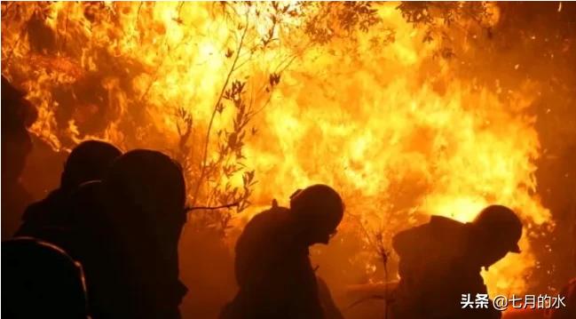 牺牲消防员孩子才5岁,牺牲消防员孩子才5岁吗 牺牲消防员孩子才5岁,牺牲消防员孩子才5岁吗