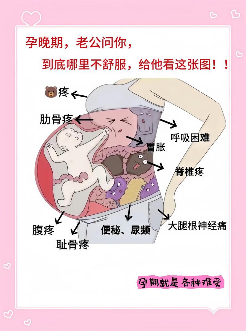 发信息给孕妇说恶心,准妈妈恶心难受该如何吃饭?