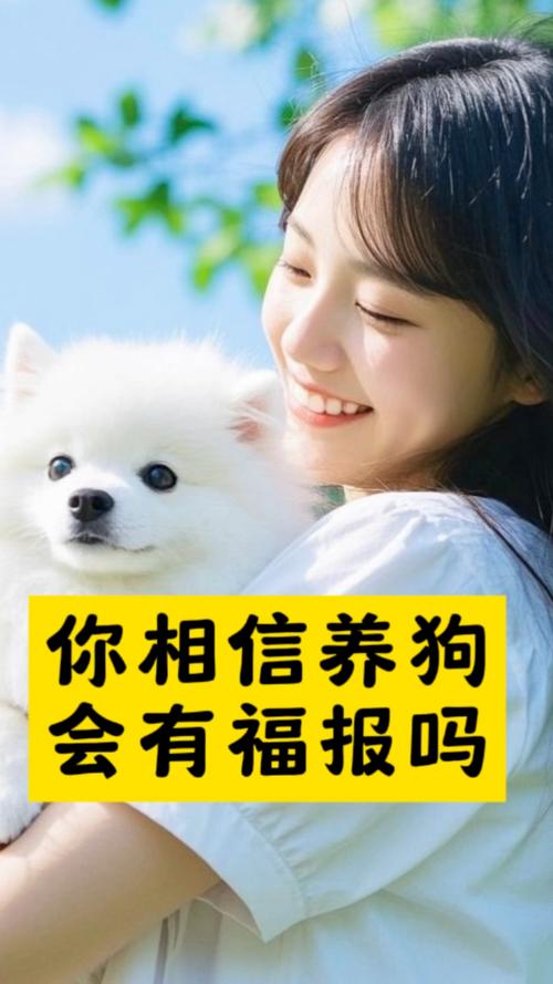 狗狗跋涉50公里报恩,养狗狗也有报恩抱怨的,你家狗狗跟你是怎样的因缘呢?