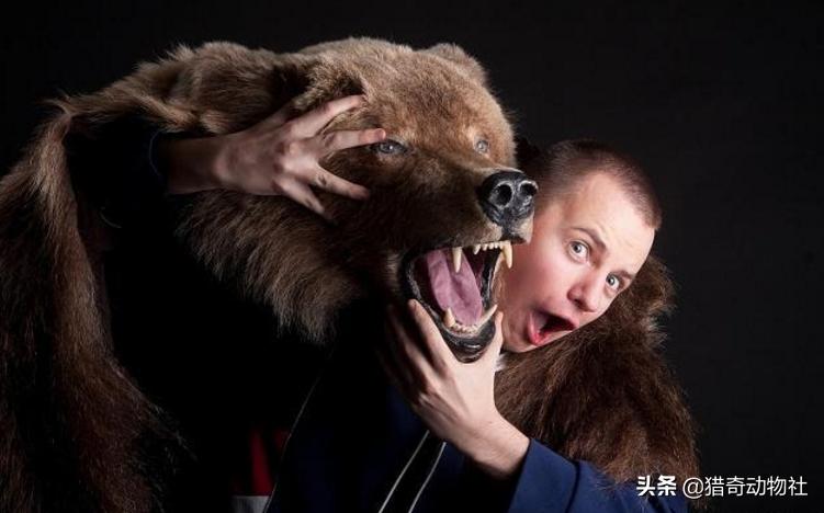 藏马熊进村咬死狗,棕熊,狮,虎是咬死人还是吃人? 藏马熊进村咬死狗,棕熊,狮,虎是咬死人还是吃人?