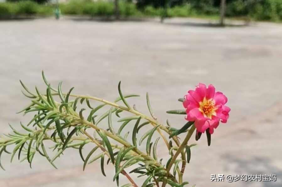 多地发钱奖励结婚,先进个人现金奖励? 多地发钱奖励结婚,先进个人现金奖励?