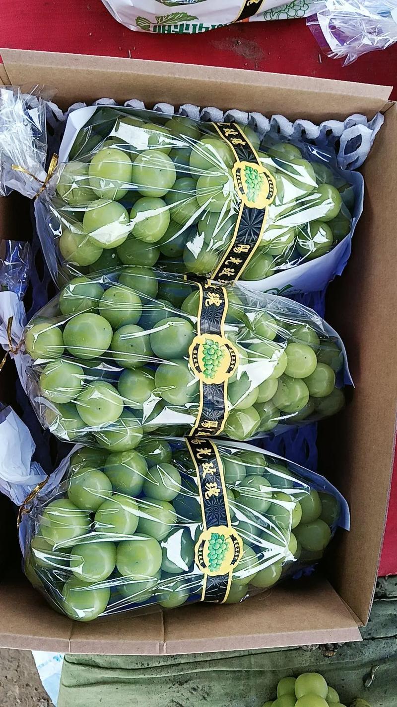 晴王葡萄均为假冒,晴王葡萄为什么便宜了?