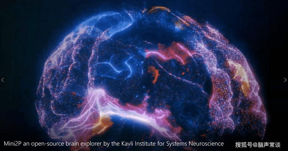 4只小鼠将上太空,宇宙有意识吗?