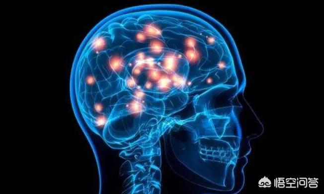 4只小鼠将上太空,宇宙有意识吗? 4只小鼠将上太空,宇宙有意识吗?