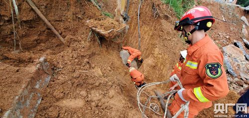 徒手救人手指被夹断,徒手救人手指被夹断了怎么办