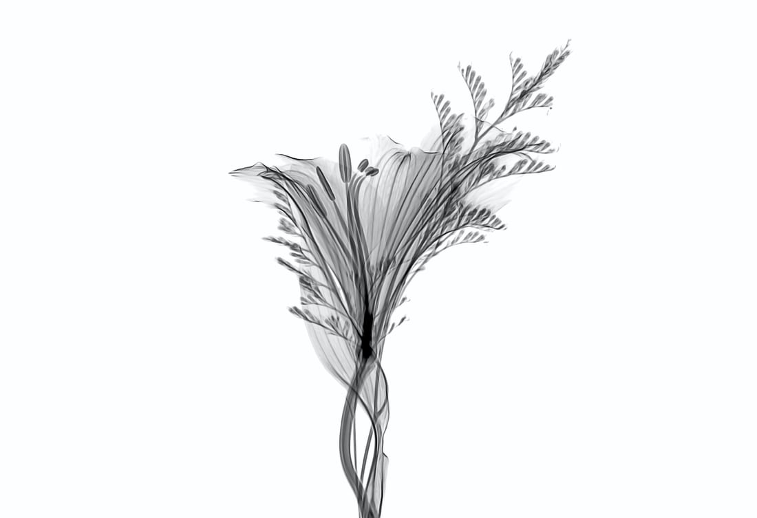 满13岁免费HPV疫苗,九价hpv疫苗接种年龄是几岁? 满13岁免费HPV疫苗,九价hpv疫苗接种年龄是几岁?