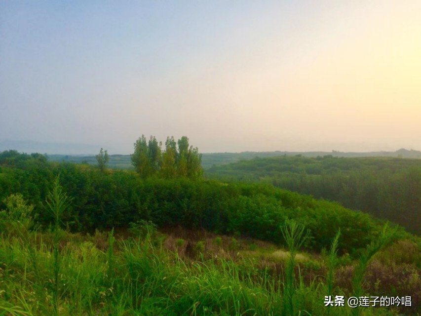 病逝娃墓地离家5分钟,