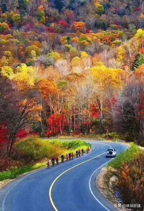 90岁老人自驾游全国,90岁老人旅游