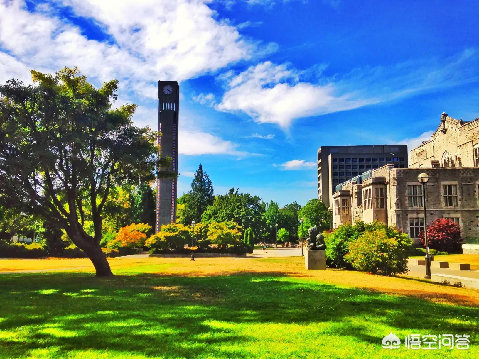 没课也不能待在寝室,没课也不能待在寝室吗 没课也不能待在寝室,没课也不能待在寝室吗