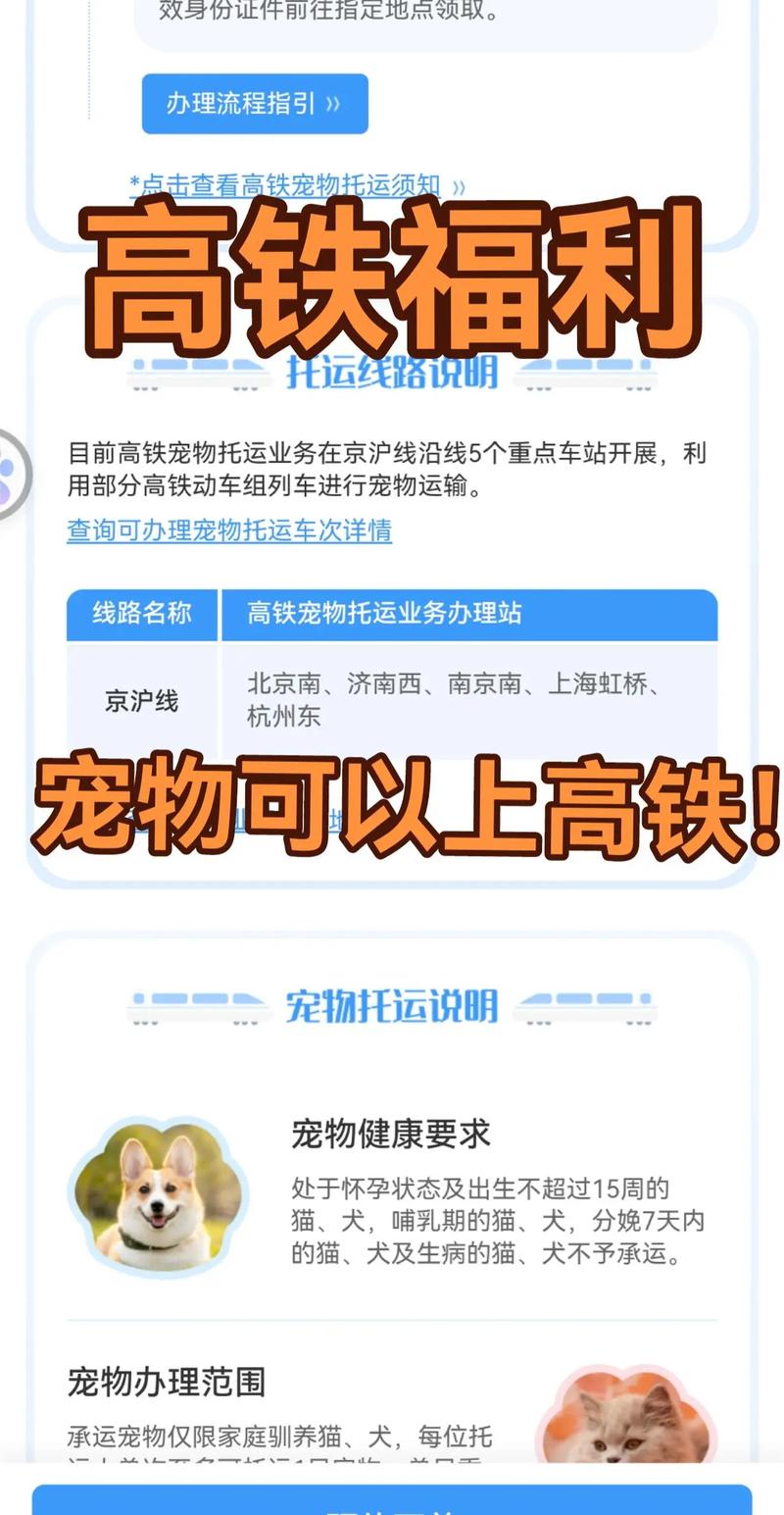 高铁宠物托运指南,高铁怎么带宠物托运?