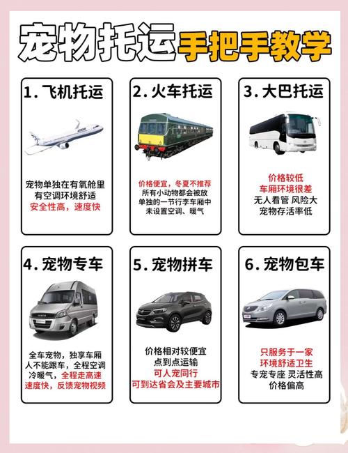 高铁宠物托运指南,高铁宠物托运流程?