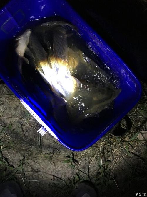 钓鱼被当猎物枪击,钓鱼被当猎物枪击怎么办