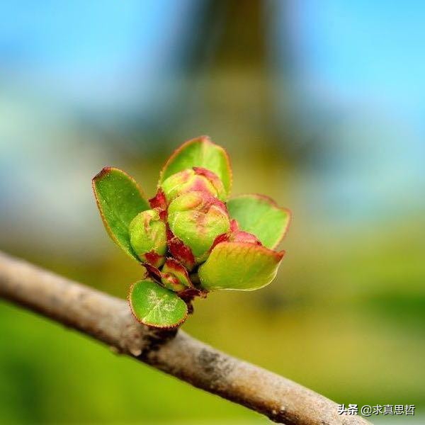 印发射该国最重卫星,发射重量最大的卫星 印发射该国最重卫星,发射重量最大的卫星