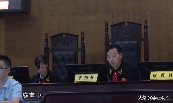 合谋撞死7岁娃骗保,合谋撞死7岁娃骗保案