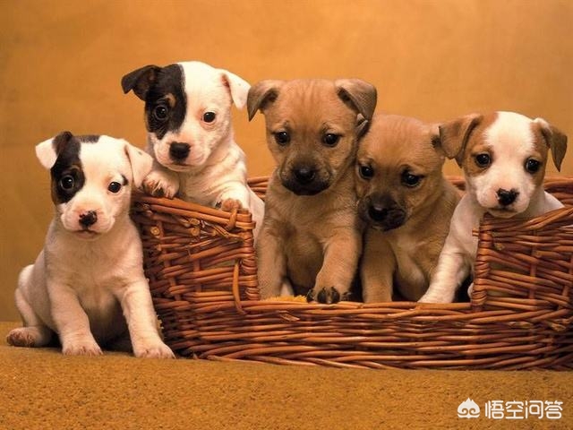 公园摆3桶供人小便,公园随地大小便怎么管理？