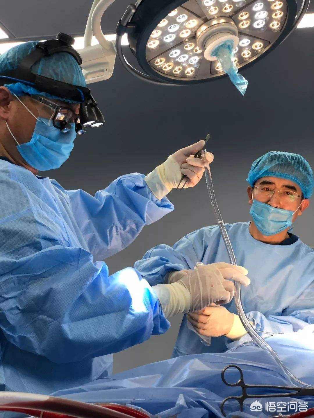 中国首例冷冻人现状,我国首例女冷冻人展文莲后来怎样了？