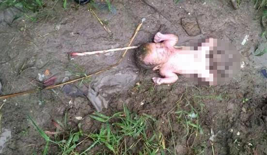 内蒙古刑事案致1死,内蒙古刑事大案