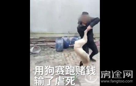 将狗摔死男子被行拘,打死一只狗判几年？