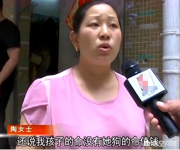 将狗摔死男子被行拘,将狗摔死男子被行拘的电影