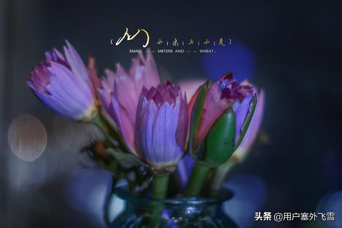 小伙熬夜智力退回3岁,不熬夜会不会变聪明? 小伙熬夜智力退回3岁,不熬夜会不会变聪明?