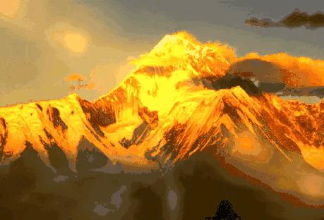 路边黄金千万别捡,一男孩看见路边有黄金没捡。是什么成语，最后一个字是遗？