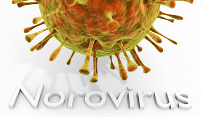 这种病毒也开始高发,进入诺如病毒传染高发季，家长们如何帮助孩子预防？